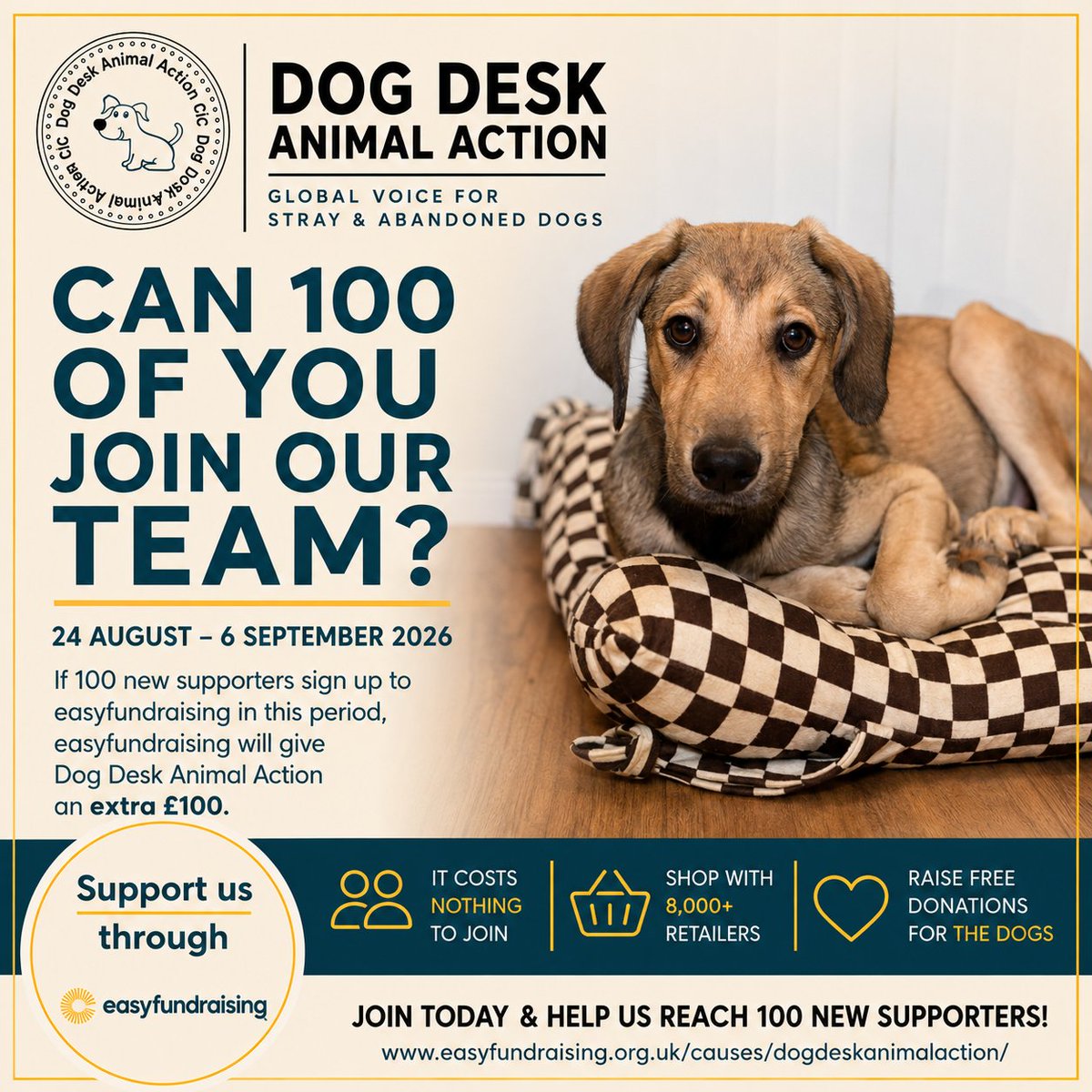 DogDeskAction's tweet photo. 🐾 Can 100 of you join our team?

Until 6 September, every new supporter who joins Dog Desk Animal Action on easyfundraising takes us closer to an extra £100 for the dogs.

It costs nothing to join 💛⬇️

https://t.co/RlxYbKrnSa https://t.co/Ddh4aS5dMm