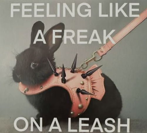 Boogalours's tweet photo. Feeling like a freak on a leash

si vous avez la ref... https://t.co/4fu6A2KQ6w