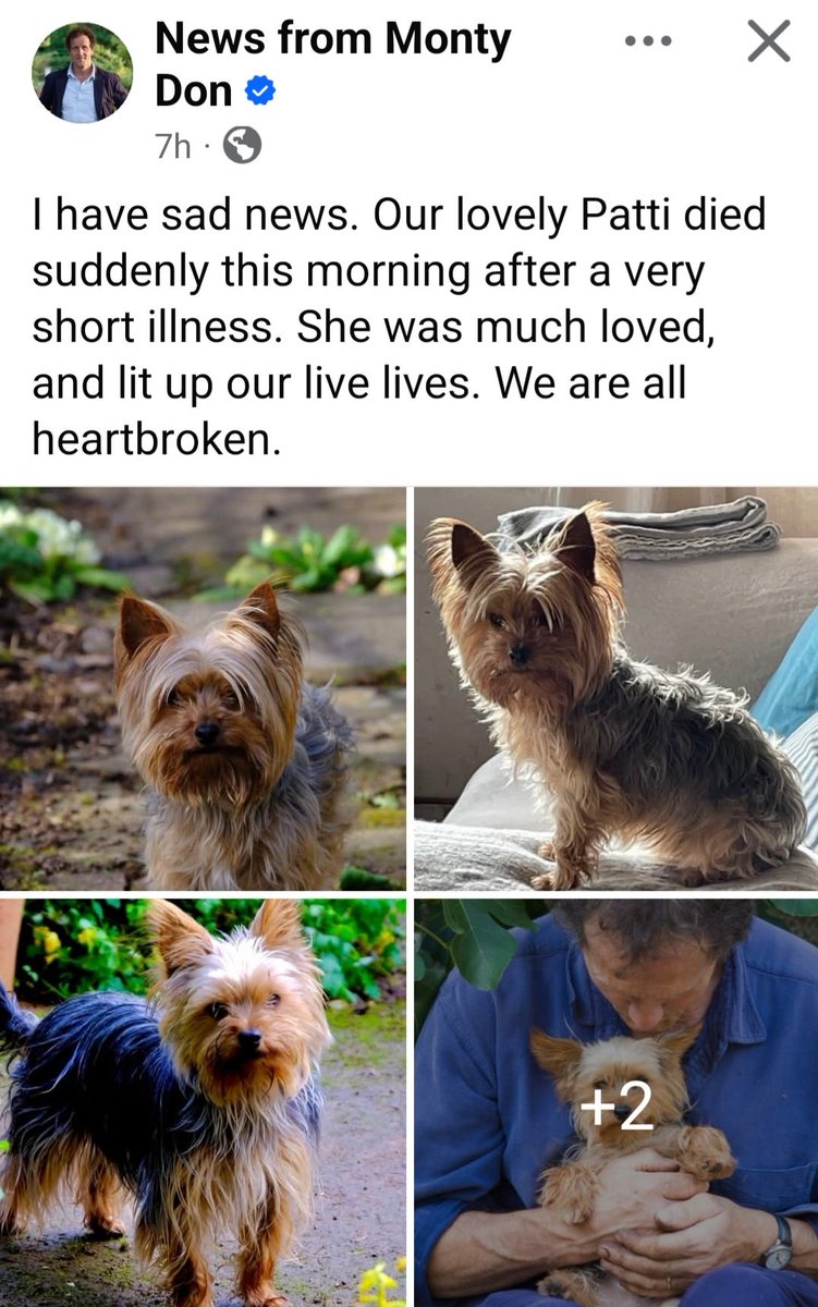 BanksysTeddy's tweet photo. Patti 😢 https://t.co/GnG0H9nAp7