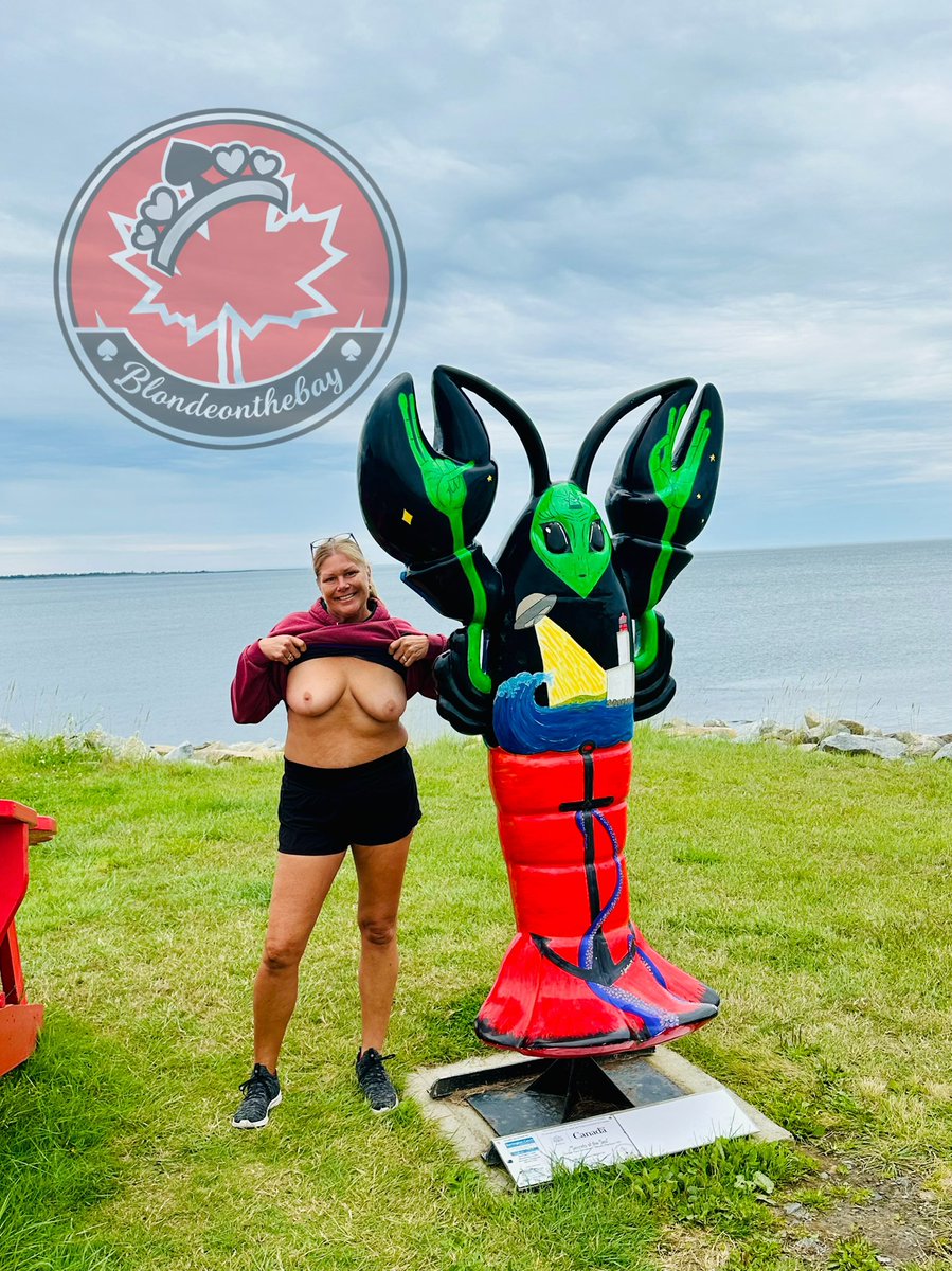 blondeonthebay's tweet photo. Happy Titty Tuesday from Shag Harbour, NS 🇨🇦 https://t.co/Fsqc68cwxR