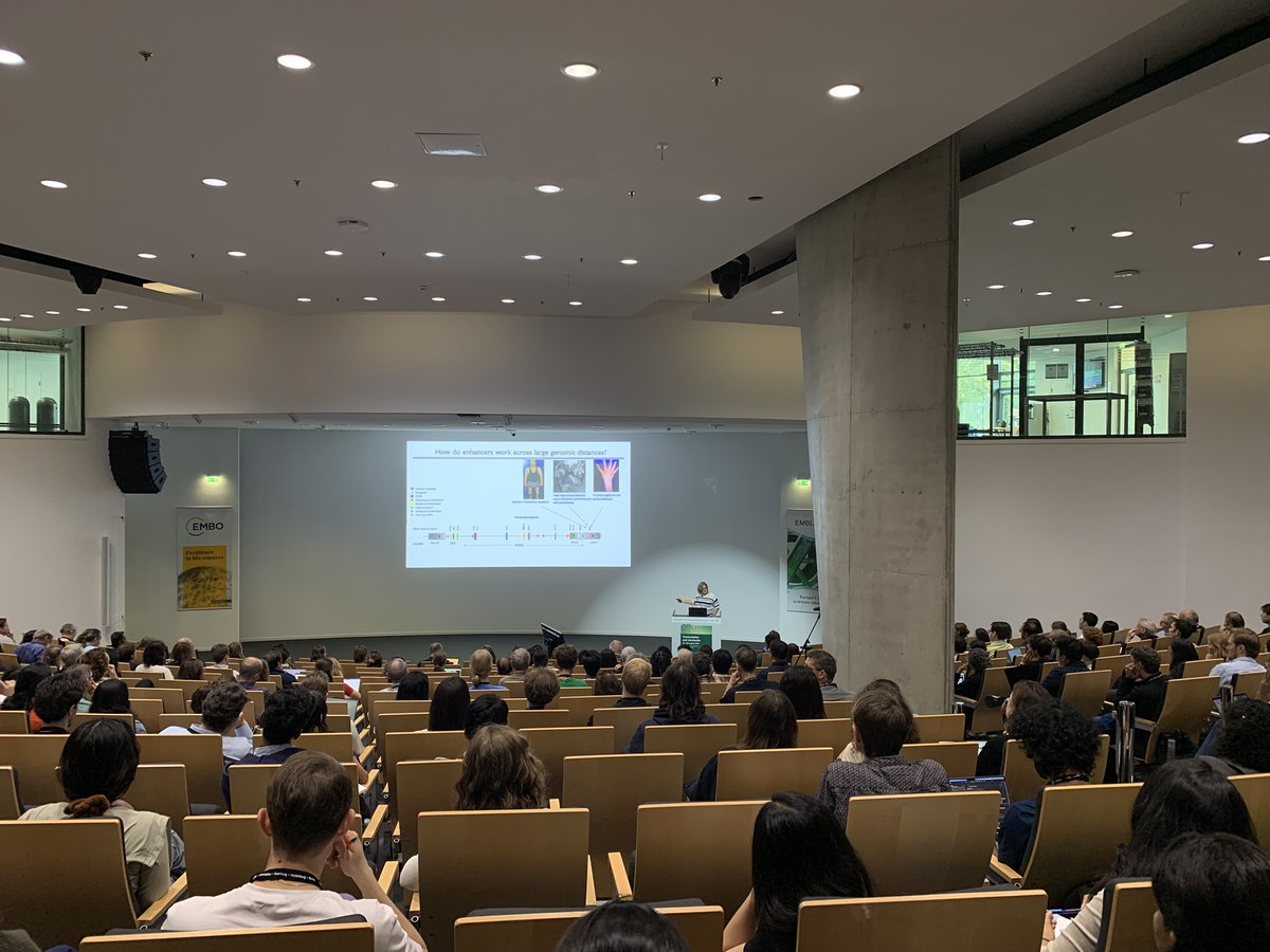 EMBLEvents's tweet photo. Welcome to Day 1 of the EMBL Conference 'Transcription and chromatin' – it's the 17th edition of our #EMBLTranscript meeting! 🧬🙌🏼
🔹Opening remarks by Eileen Furlong
🔹First talk, 'Enhancer-driven gene activation – do one and three-dimensional context matter?' by Wendy Bickmore https://t.co/cG8TWTpWSe