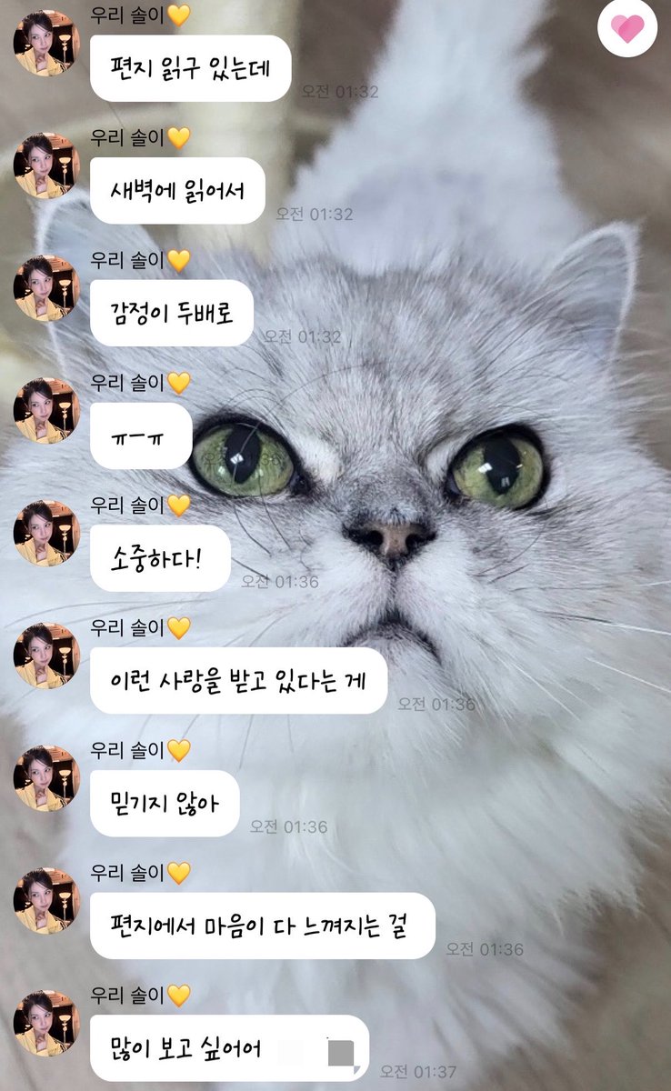 Pillonrxx's tweet photo. 어쩜 이런 아이가 다 있을까…
너무감동먹어서 뚱쭝하게 글써서보냄 크흑
진솔아 너가 다정한만큼 이 세상이 다정했으면 좋겠어 진솔이도 늘 행복만���길💛 https://t.co/oydrxZWcQM