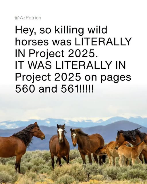 JamesTate121's tweet photo. After telling us immigrants are eating the cats and eating the dogs. Republicans are slaughtering the horses. https://t.co/0LvZk7bbJU