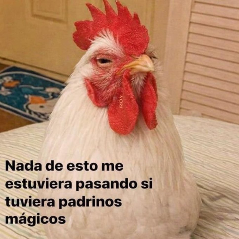 FraseSimple's tweet photo. https://t.co/UOL8cdtA4K