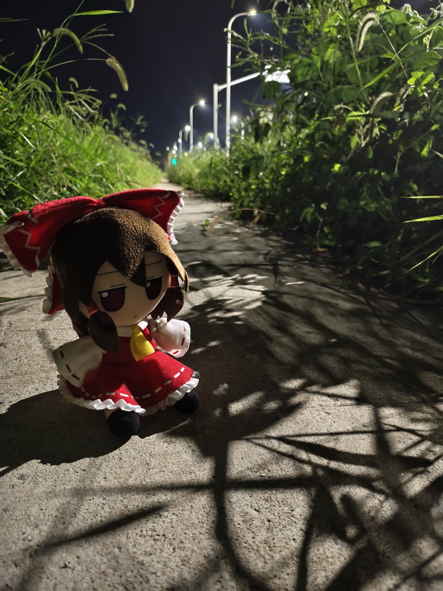 thPlayer458's tweet photo. Wandering with Reimu on the empty streets at CST 1:00 A.M. (GMT+8)……
The streets are so silent that there will be one moment when you have the illusion that the world is paused🤫 https://t.co/xTS8mT7Mut