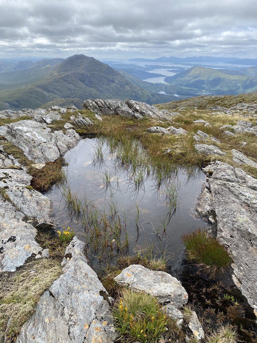 StrachanHazel's tweet photo. Saturday morning I packed up my bivvy on Creach Bheinn and headed for a long wander over Beinn Sgulaird and Beinn Fhionnlaidh. Summits were cloud free and it was great picking out and naming the surrounding #Munro summits. For me the best day of the summer!
#Scotland https://t.co/YM6sAzVPpI