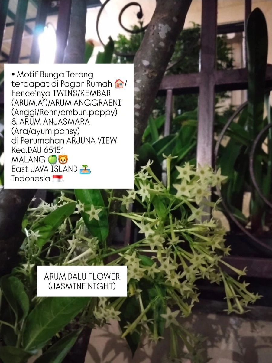 Krayon_warnaku's tweet photo. @KertasRubrik ▪︎ Motif Bunga Terong terdapat di Pagar Rumah 🏠/Fence'nya TWINS/KEMBAR (ARUM.A²)/ARUM ANGGRAENI 
(Anggi/Renn/embun.poppy) 
&amp; ARUM ANJASMARA 
(Ara/ayum.pansy)
di Perumahan ARJUNA VIEW
Kec.DAU 65151
MALANG 🍏🦁
East JAVA ISLAND 🏝, Indonesia 🇮🇩. https://t.co/09ayfudxIU