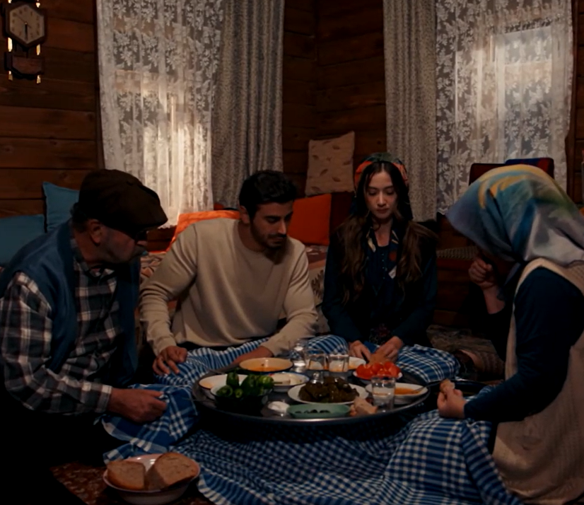 thoughtsofzerra's tweet photo. I really hope the writer didn't forget this exists. The Gullu and Durmus house was catalyst to their relationship. It made their love bloom. I wish they didn't forget about the house too. Coz it's cok special. I wish they come back to here together sometimes...
#arafta #MerTeş https://t.co/wqC3ahPKBq