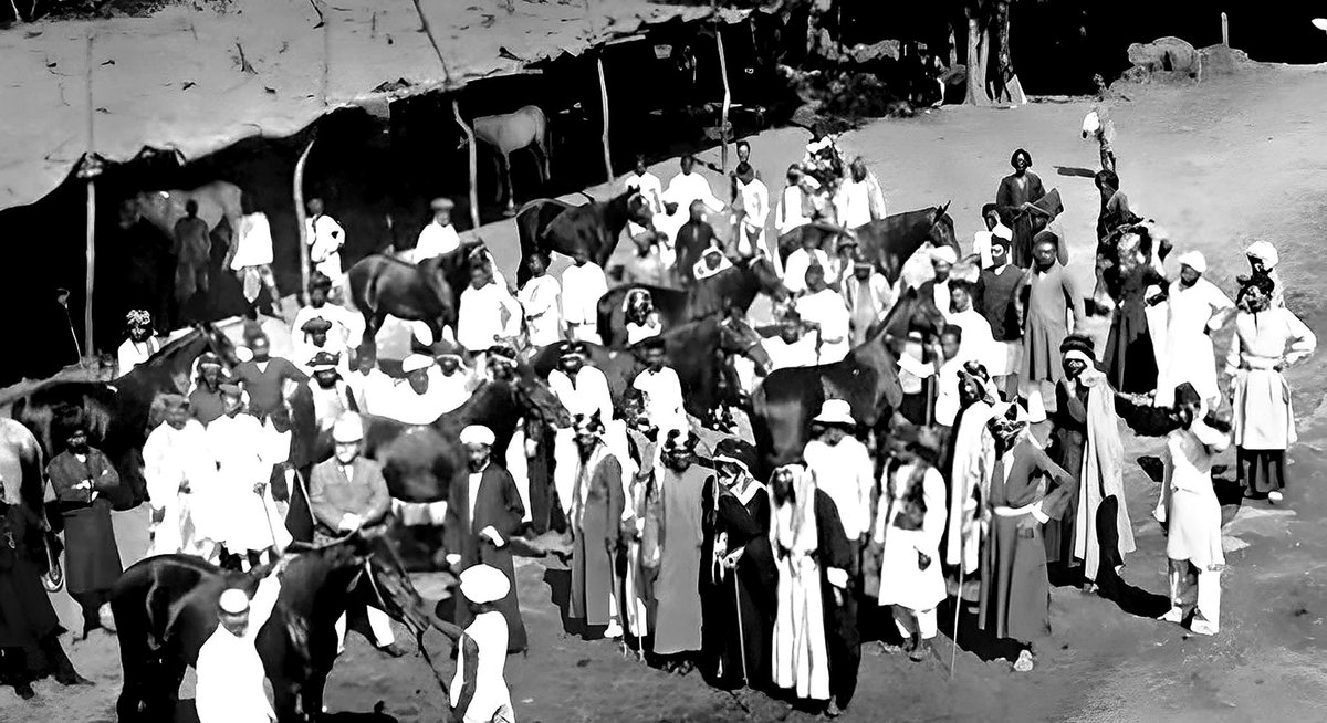 KhaledAlammar's tweet photo. تاجر خيل نجدي كان أهل بلدته “شقراء” يودّعونه استعدادًا للسفر إلى الهند، حين ظهر فجأة من يطالبه بدين قديم ويهدده بمنعه من السفر ما لم يسدد أولًا.. 

لم يكن يملك مالاً، فقد أنفقه كله على الخيول وتجهيزات الرحلة.
حسم الموقف أحد وجهاء شقراء، عبدالكريم بن علي بن مقرن، إذ سدّد الدين عنه، فتمكّن عبدالرحمن بن عبدالعزيز المنيع من الرحيل مع خيوله نحو الكويت ثم الهند. 

لكن القصة الحقيقية لم تبدأ إلا بعد أن غرقت السفينة.
هبّت عاصفة قبل الوصول إلى بومباي، فحطّمت السفينة وابتلع البحر كل شيء: الخيول، الأمتعة، رفاق الرحلة.
نجا المنيع بقدرة الله وكان قوي البنية ويجيد السباحة، فوصل شواطئ الهند غريبًا، لا يملك سوى حياته. 

ولما وصل خبر الحادثة إلى شقراء، أعلن ابن مقرن سماحه له بما كان قد سدده عنه من دين، وجمع له أهل بلدته مالًا ليقف من جديد.

 ومن ذلك الصفر، أعاد المنيع بناء نفسه حتى غدا أغنى وأشهر تاجر خيول عربية في الهند، يبيع أكثر من ١٥٠٠ رأس سنويًا في أوج نشاطه.

عرفته الليدي آن بلنت عن قرب، وكتبت عنه أنها لم تجد من يفوقه أصالة ونسبًا، ولا من يضاهيه معرفة بالخيل العربي ومحبةً له.
وزوجها المستشرق ويلفرد بلنت وصفه بأنه على مدى ٣٠ عامًا من تجارة الخيل، لم تُشَب سمعته بشبهة ظلم أو غش، وأن كرمه في تعاملاته كان نادرًا حتى بين التجار. 

تقديرًا لأمانته، سمّى أهل بومباي باسمه شارعًا في حي العرب.. لا يزال يحمل أسمه "شارع عبدالرحمن"

ولم يكن ابن منيع رجل تجارة فحسب، بل كان رجل دين وإحسان وخير.
شغل منصب نائب جمعية “أنجومان إسلام” التعليمية في بومباي، وهي من أبرز الجمعيات الإسلامية هناك التي تُعنى بتعليم أبناء الجالية المسلمة.
فجمع بين عزّ التجارة وخدمة دينه.

 ولم ينسى ديرته، فهو من الحراقيص من بني زيد، فواحدة من أعمال الخير أنه قبل وفاته بثلاثة أعوام أوكل عبدالعزيز ابن الشيخ عبدالله أبابطين وعبدالعزيز الجميح بشراء ثلث مزارع البهيمي من يوسف بن عمار (أمير الوقف بالقرائن) وأوقفها على إمامة مسجد الحسيني بشقراء

رحمهم الله جميعًا 

مرفق صور 
- رجال من نجد في سوق الخيل العربية في بومبي (كتاب الخيل، توليدي 1894م)

- صورة لجواد عبدالرحمن المنيع "ميدان" آخر الخيول العربية العظيمة التي دخلت بريطانيا عبر الهند (سبنسر بوردن، الحصان العربي 1906م)

- وثيقة مبايعة بخط وشهادة وختم الشيخ ابراهيم العبداللطيف (١٣٠١هـ)
