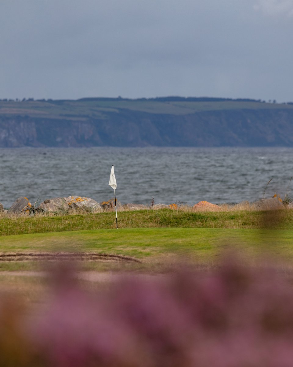 Golf flag on a course by the ocean with cliffs in the background.