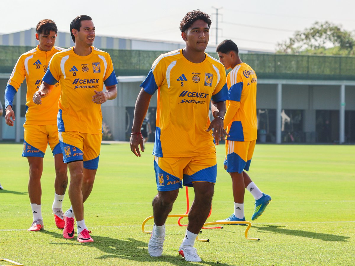 TigresOficial's tweet photo. 💪🏼🐯 ¡A darle que este sábado hay partido y vamos los Tigres! https://t.co/eg49BZEJ7C