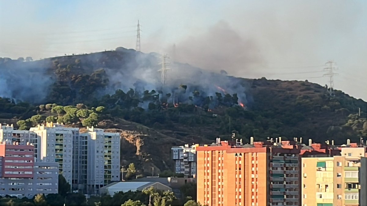 cinfa_v's tweet photo. Aún se ven llamas en collserolla #collserola #barcelona #incendio #torrebaro #canyelles https://t.co/Ome1wf5Kbv