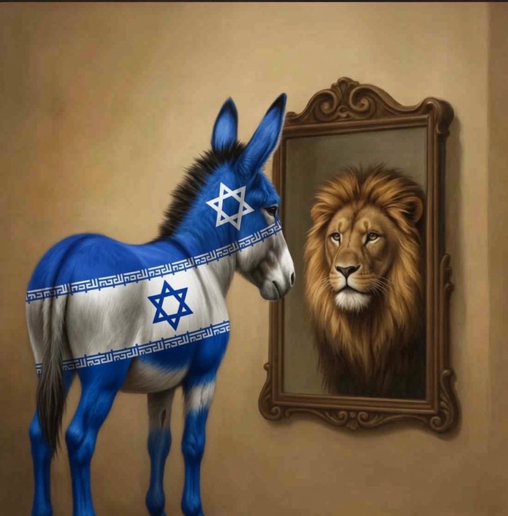 uygarsahinnn's tweet photo. @IsraelGovNews https://t.co/lHCcR8QpL4