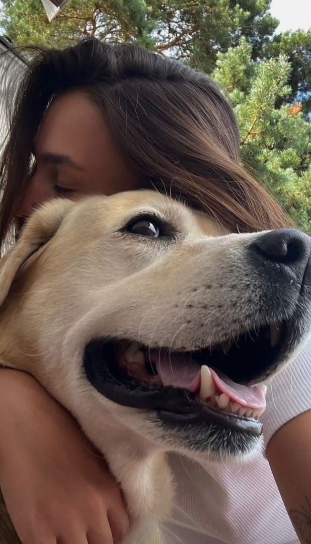 k9_Rory_2's tweet photo. My dog does it better😊🐶.
Message me on telegram @  https://t.co/1u2wORdtJt for my explicit dogknotting content🤤💦

#beastality #knottygirs #zoophillia #zoosarevalid #beastiality #dogknot #zooprideisvalid #hypnotistzoophilesarevalid #zoophiletwt #usa #mexico #Germany https://t.co/NJ1AcBXrdc