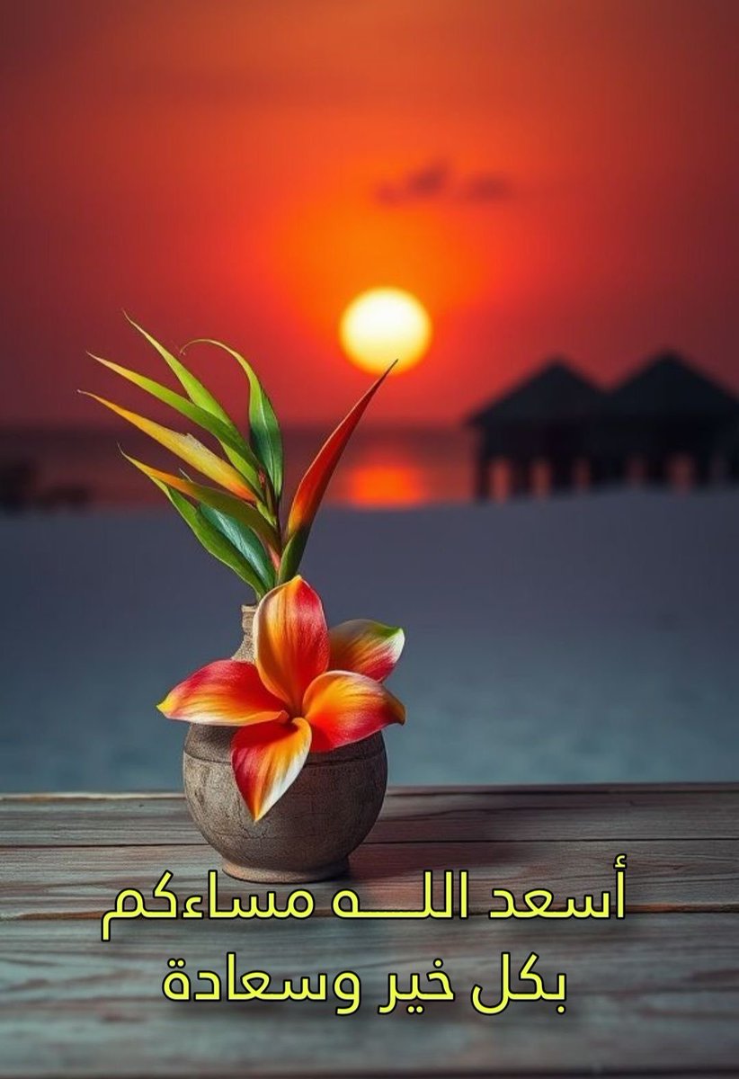 sheraa5's tweet photo. @hamedalshehi5 https://t.co/Dyo6rvN5gd