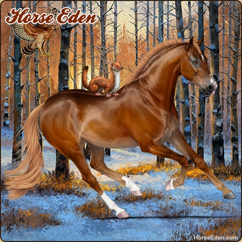 HorseEdenGame's tweet photo. Today's featured Game Horse! Breed your dream horse! Play for free today!
#horse #horses #horsegame #horseeden #animals #simgame #petsim #petgame #animalgame #nature #horseshow #gameart #horseart #thoroughbred #chestnutmare #pineforest #dressage #showjumping #eventing #art #game https://t.co/wK4tzPiXq8