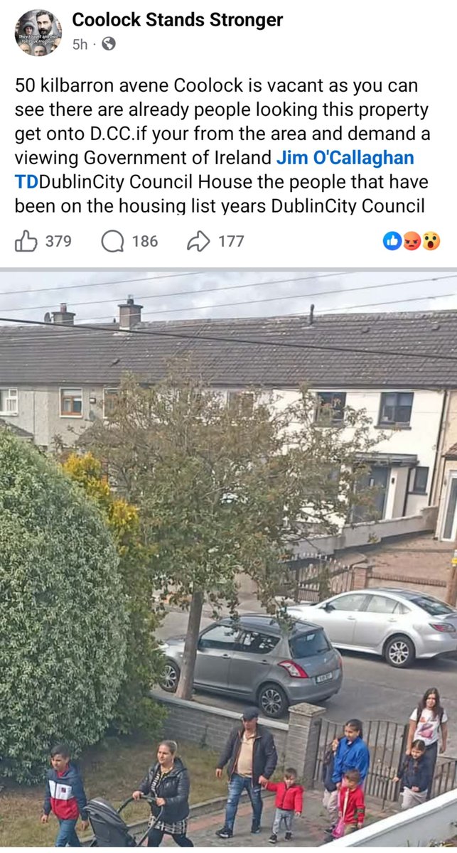 UlationSpeck's tweet photo. Are you Irish?

Are you languishing on a housing list for years?

Feel like there's no hope?

I have news for you.

There isnt. https://t.co/NV1Rypws29