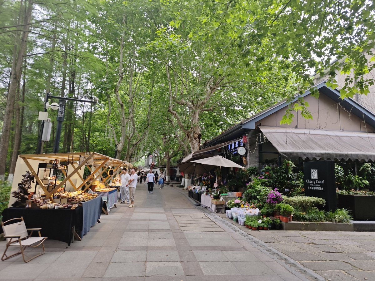 Acomp182x's tweet photo. Spent a great day wandering around the old city with friends—sunny streets, local snacks, and so many hidden corners to explore! #TravelDiaries https://t.co/fZI79qqLex