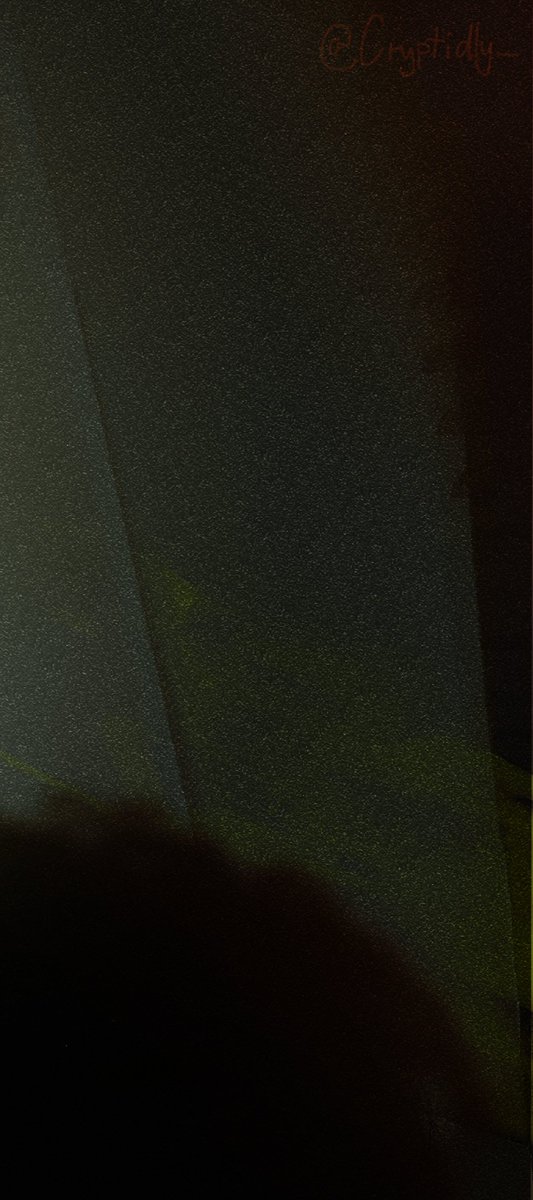 Cryptidly_'s tweet photo. yo did it work https://t.co/LX9dVUUCEV