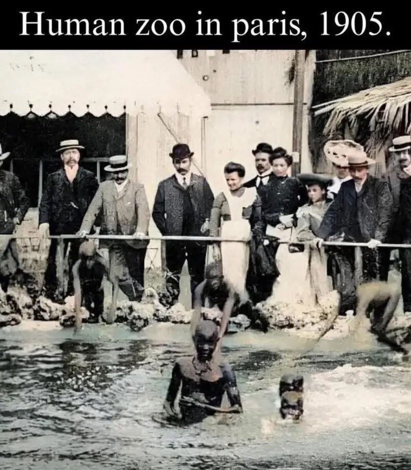 MiloHoffman420's tweet photo. @JamesPiercey11 Hahaha… the only place a filthy nigger belongs 🦧🦧🦧😆 https://t.co/GisUq34Z82