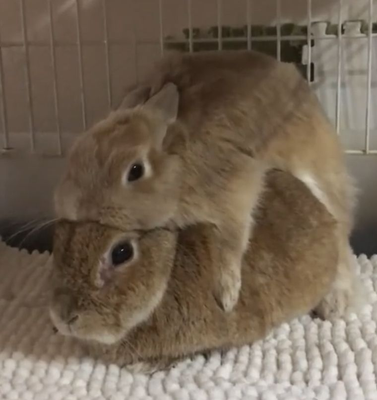 sweetangelette's tweet photo. girl calm down nobody's gonna take him away from you https://t.co/Fy5eYg1ILf