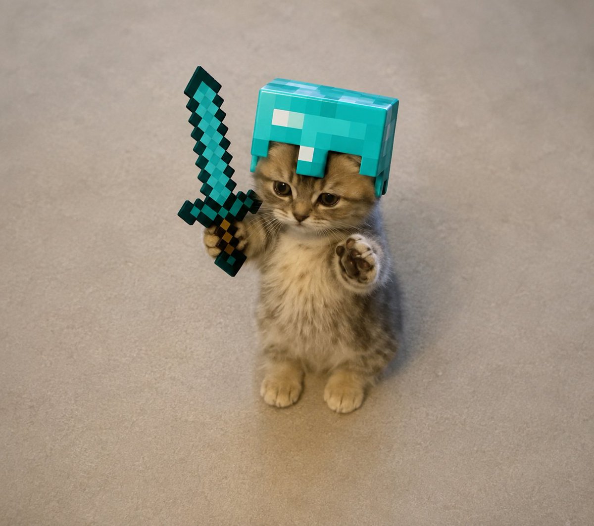 Loc9ing's tweet photo. @aibaldking march forward and move your paws https://t.co/GkWv8sn9vt