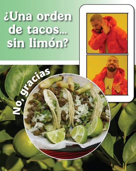 SENASICA's tweet photo. Seamos honestos… ¿qué sería de los tacos, el pozolito, el tequilita o las jícamas sin limón? En México, el limón es mucho más que un ingrediente: es parte de nuestra tradición. Por eso, en #Senasica trabajamos para proteger los árboles de plagas como el #CancroDeLosCítricos. 🍋 https://t.co/i2RSKTOfF5