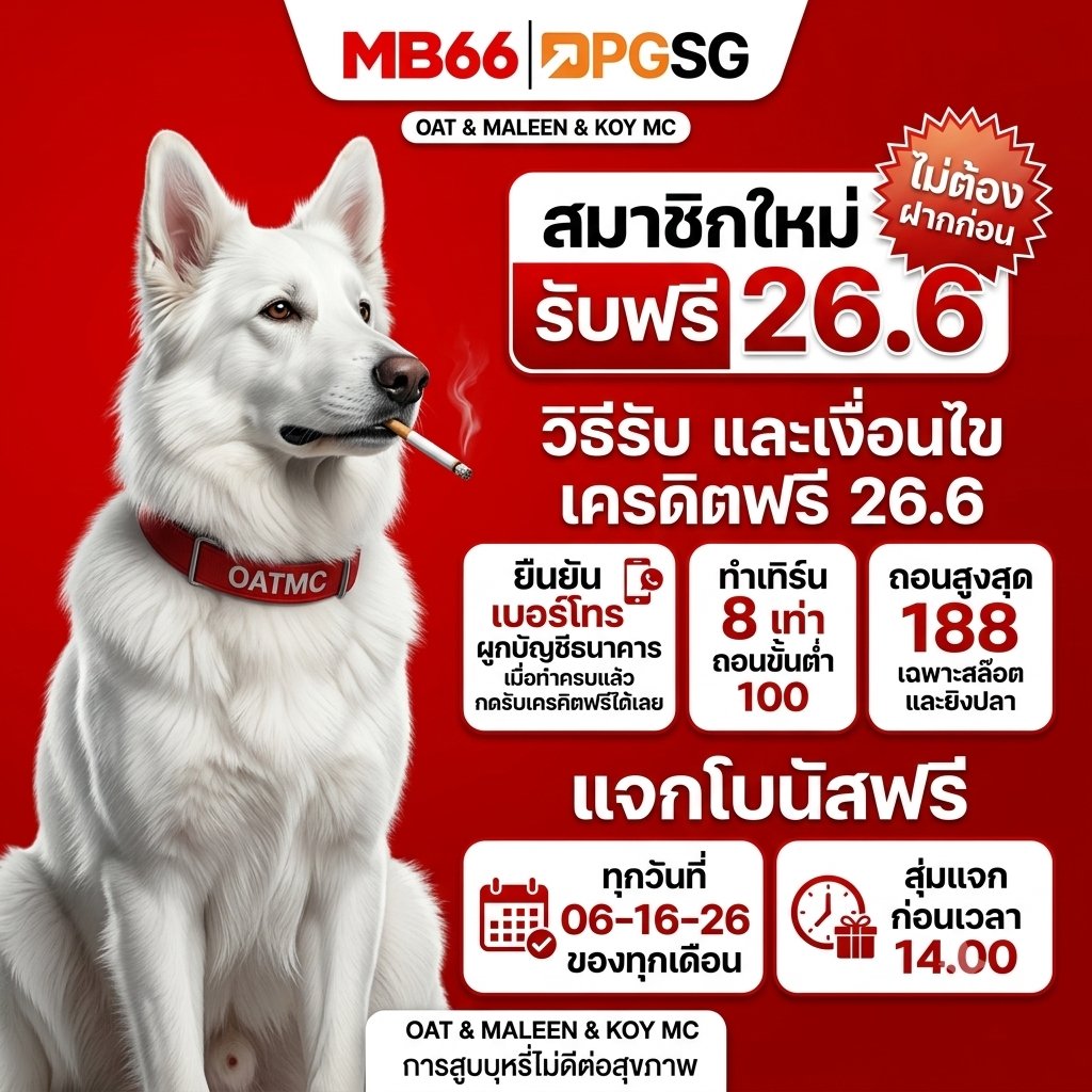 OATMCV3's tweet photo. 🪙 #MB66 [ IP📵 ] 
🎀 สมาชิกใหม่ รับฟรี 26.6
🎰 เทิร์น×8 ถอนสูงสุด 188 

🎁 โบนัสฟรี BN26
✅️ เริ่มแจกเวลา 08.00

🚀 สมัคร: https://t.co/YcDwY9R6CL

#เครดิตฟรีสมาชิกใหม่ #เครดิตฟรีล่าสุด https://t.co/KCxX5WC98I