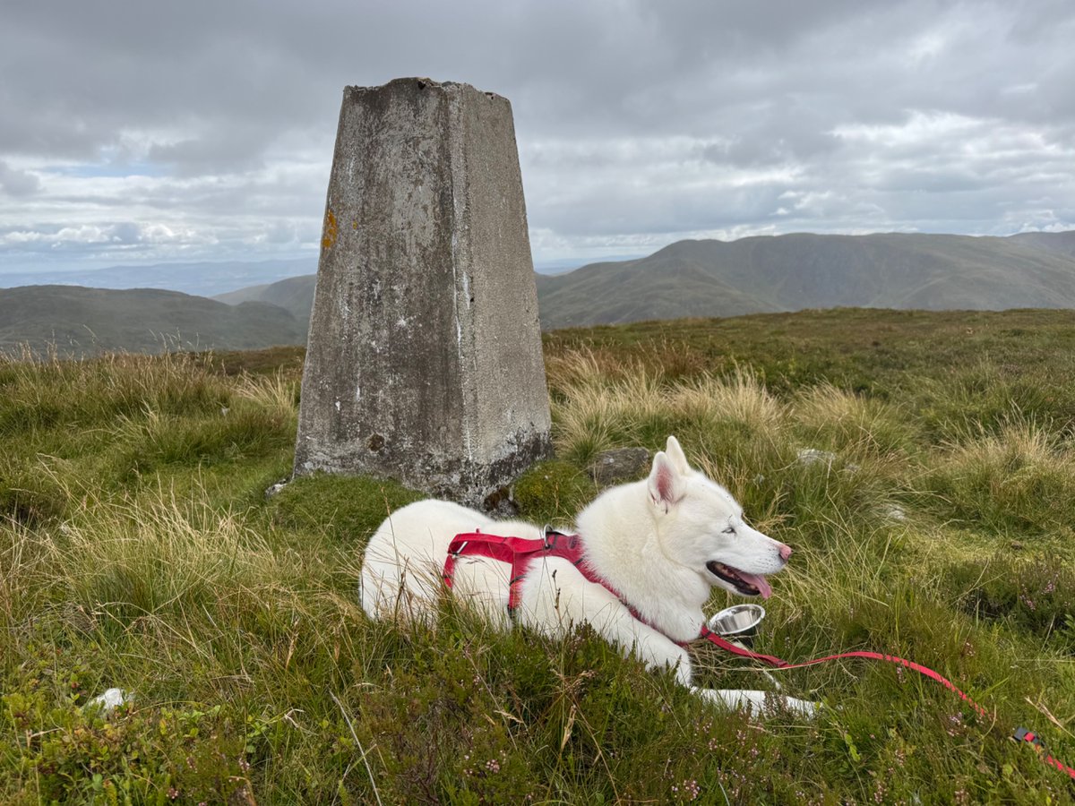 BowskillCameron's tweet photo. A Graham, Beinn na Gainimh, and its minor tops on Sunday https://t.co/P7yO2kzRmM