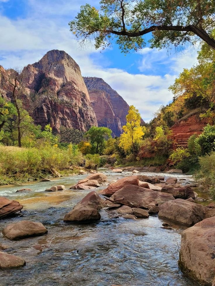 ab_cd_1235's tweet photo. Zion National Park, Utah State 🇺🇸 https://t.co/aG6SxFIV3R