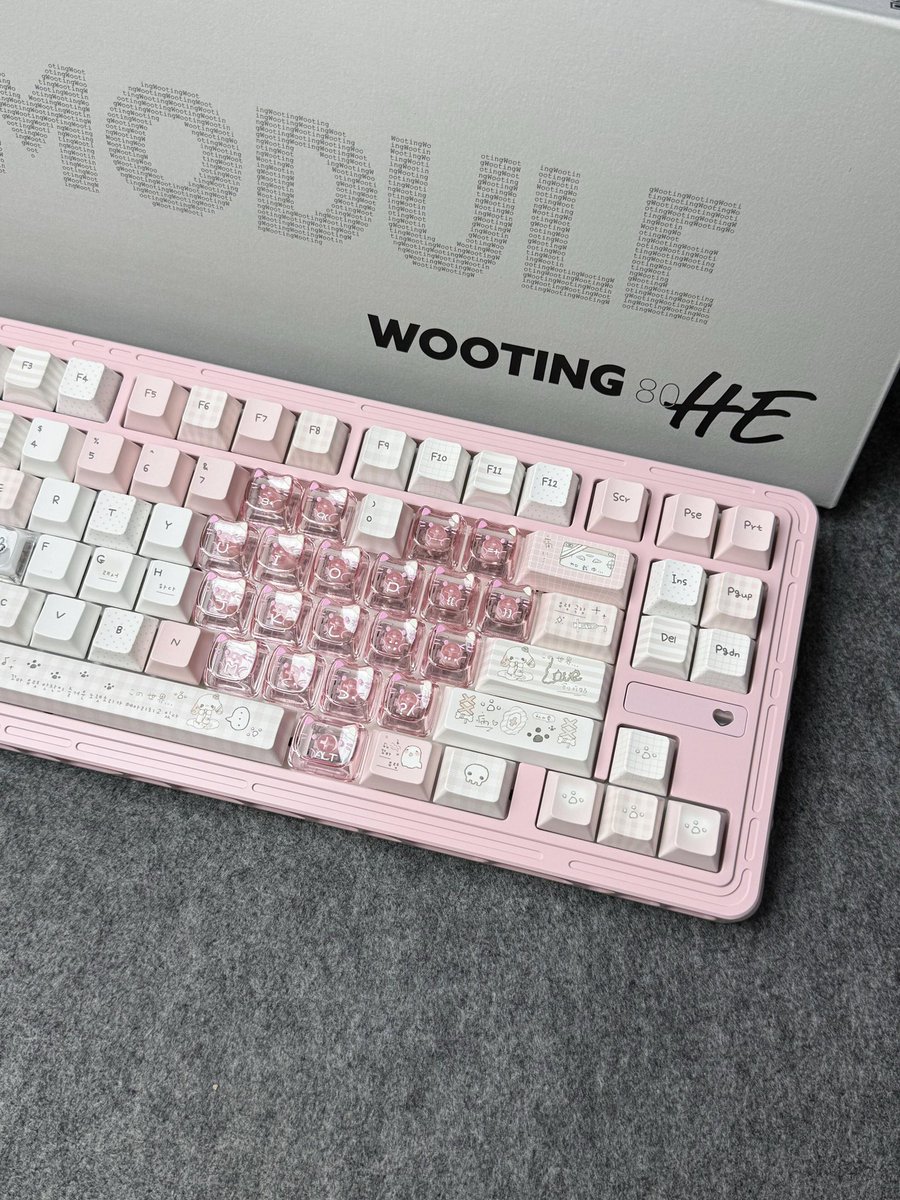 NvsionGear's tweet photo. 🤍💗 https://t.co/WQYAZfOhXF