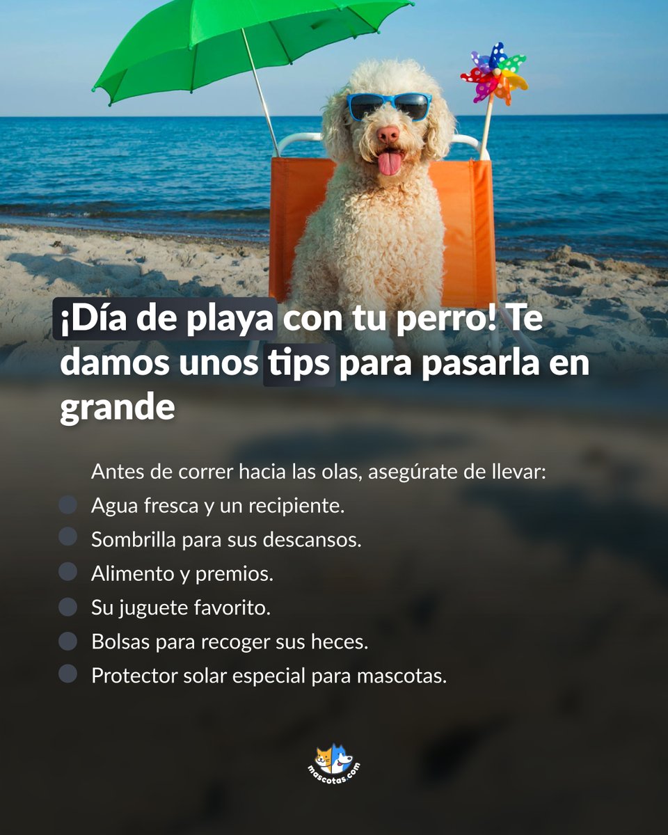 Mascotas_com's tweet photo. Arena en las patas, viento en las orejas y diversión asegurada. 🐶🏖️
Prepara su maleta playera y disfruta la aventura sin dejar sus cuidados en casa.😉💼
https://t.co/7u64Wap8a2
#Mascotas #Mascotasmx #Perros #TipsCaninos https://t.co/axNaAuqGvl