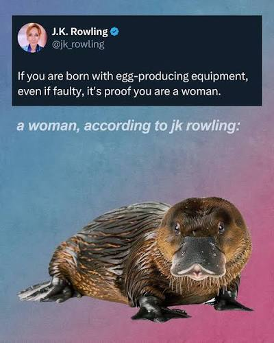 Willowfoxxo's tweet photo. Typical terf narrowing down women by only the ability to give birth, all while calling women who can't cos they're infertile defective it's so fucking vile and it's always just this meme.. https://t.co/rD0Npkjr6f