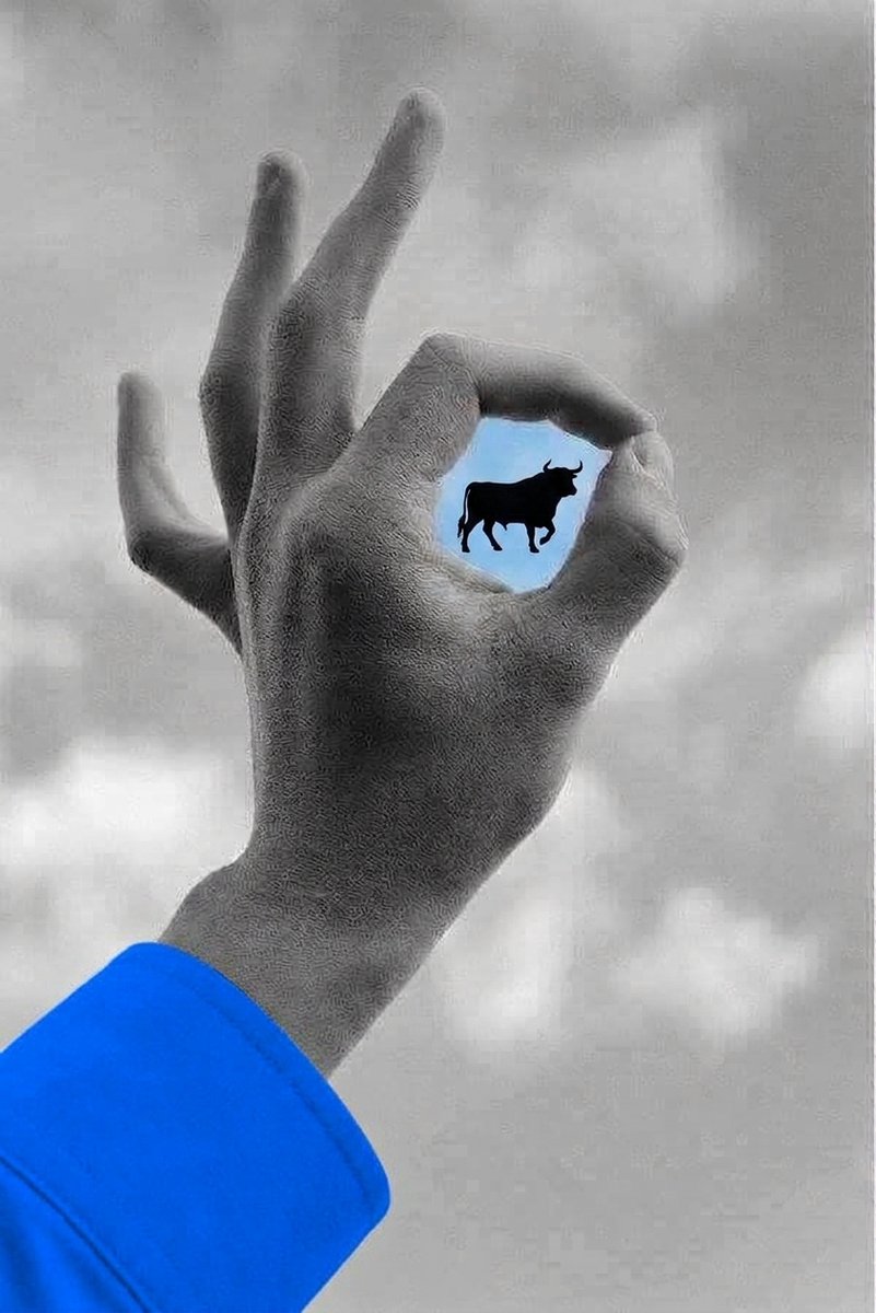 HTX_Global's tweet photo. gm legends! 🫡
It's a bird. It's a plane. It's a .... https://t.co/vzApZccEk3