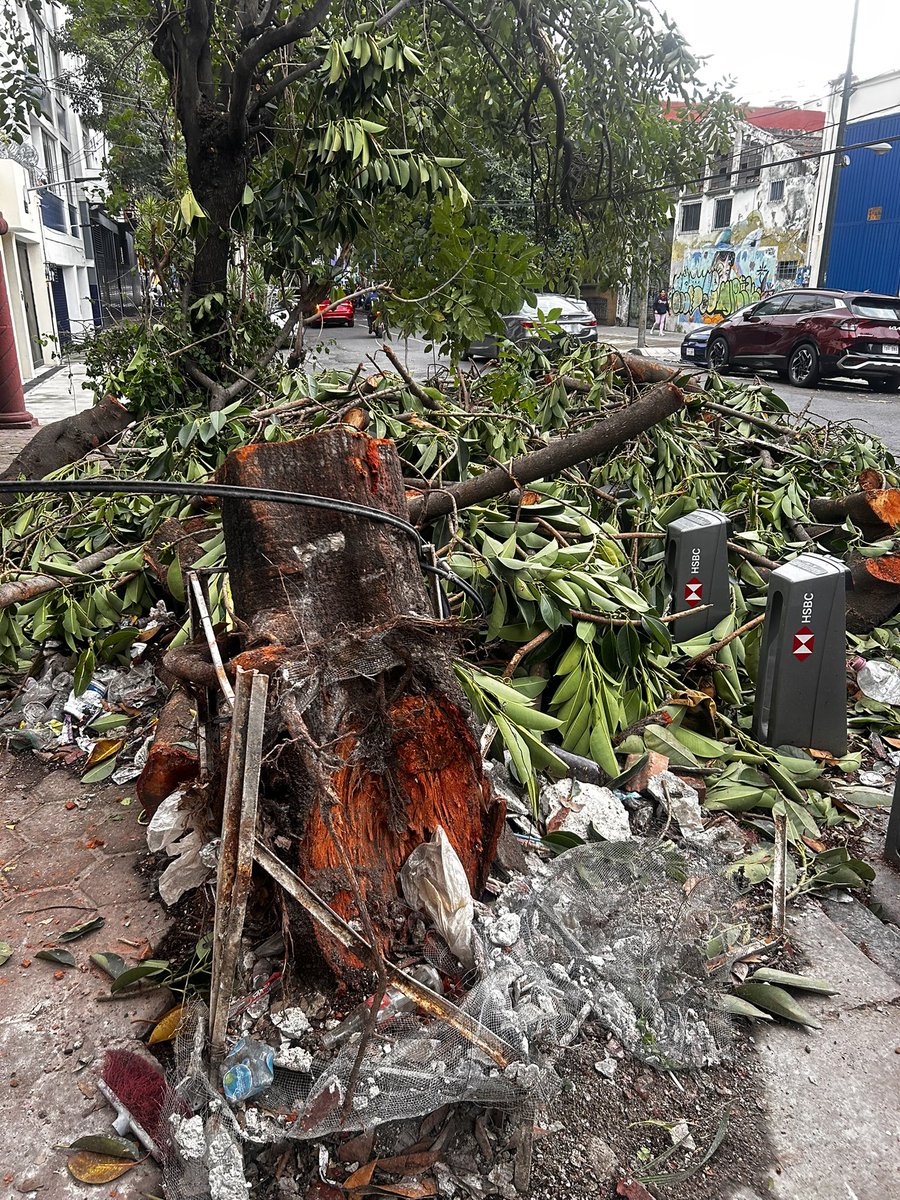 danjtorres's tweet photo. El fin de semana sin aviso previo la @BJAlcaldia taló este árbol (@SEDEMA_CDMX). Al día de hoy dejaron esa barbarie así y además obstruye la ciclovía de @ecobici @LaSEMOVI. Ojalá se sancione a los responsables @AccionesBJ https://t.co/JXUSUoDdAL
