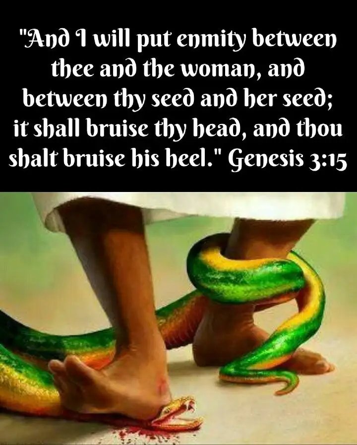 W1TN3SSxx's tweet photo. @ItIsHoeMath Love this! Thanks for sharing w ur audience❤️ #DualSeedline #ChristianIdentity is the end of the rabbi hole. That was not a talking snake in Eden that "beguiled" Eve. There are no jews in the #Septuagint OT, the seed of Satan thru Cain=jews. Adam\Eve r Europeans, so is #Jesus https://t.co/Eej7WyudDY