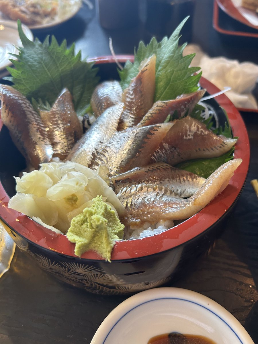 idh_net4all's tweet photo. おはようございます！

毎日暑いですが、そろそろ8月も終わりますね、、
今年の夏の思い出は九十九里浜の海とイワシ漬け丼です
お店に入るのに結構並んだんですが、そのかいもあって脂がのってて、すごくおいしかったです、

8月最後までよろしくお願いします！
＃おは戦80826as https://t.co/MvwOeDVrGW