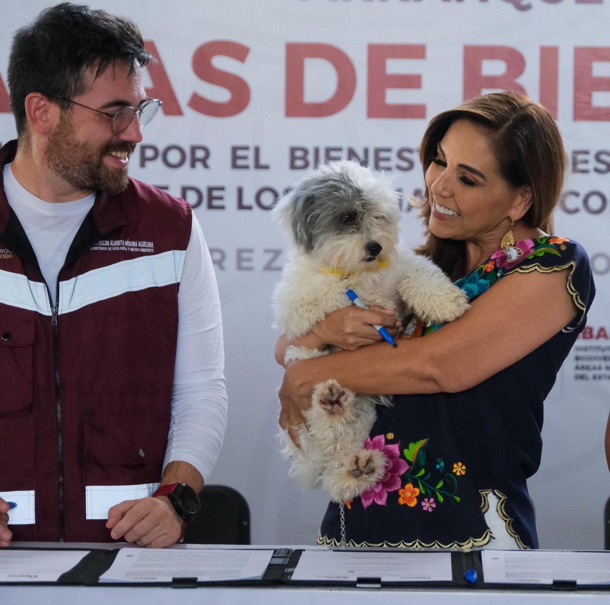 OscarReboraQRoo's tweet photo. Como integrante del @GobQuintanaRoo y militante de @morenaenqroo, conozco de primera mano el trabajo y los resultados de la administración que encabeza nuestra Gobernadora @MaraLezama: inversión histórica en bienestar social, fortalecimiento de la infraestructura pública, protección de nuestro patrimonio natural, crecimiento económico y una política que pone en el centro a quienes más lo necesitan.
El pueblo de Quintana Roo ha demostrado su confianza en este proyecto de transformación, teniendo a la Gobernadora mejor evaluada del país. El Quintana Roo de Mara Lezama es el estado que más vota, en términos porcentuales, por la #4T en la historia del movimiento, como lo demostró el 73% obtenido en la elección presidencial de 2024.
Hay quienes pueden construir narrativas hostiles, pero nosotros tenemos una responsabilidad distinta: trabajar, cumplir y presentar resultados.
El Quintana Roo de Mara Lezama se construye todos los días con honestidad, cercanía con la gente y hechos que se pueden demostrar.El respaldo del pueblo se gana trabajando.
¡Seguimos transformando Quintana Roo! #QuintanaRoo #MaraLezama
