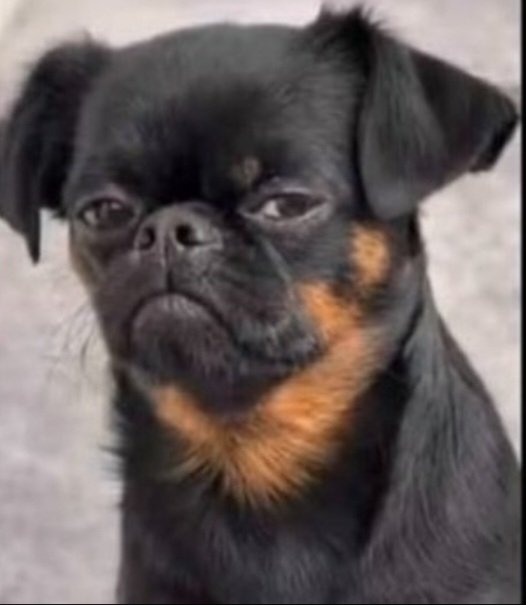 zerofllwrs's tweet photo. your face when you start telling lies https://t.co/gjCv2ZwuhD
