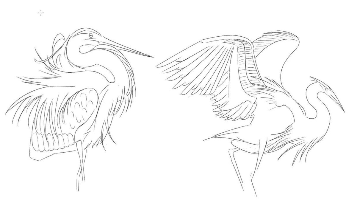 zzzdafzi's tweet photo. Heron https://t.co/5hzRUGy4Gj