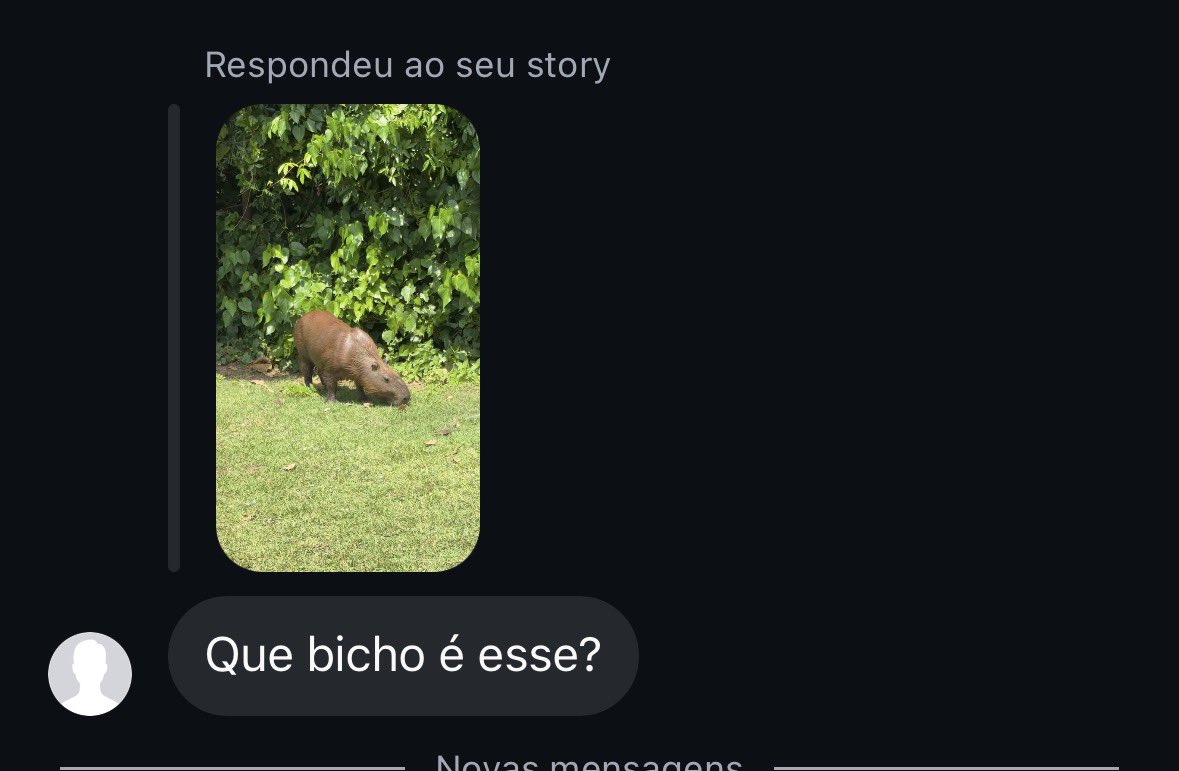 josepel_'s tweet photo. minha mãe as vezes me tira boas risadas https://t.co/FMpVIAtu27