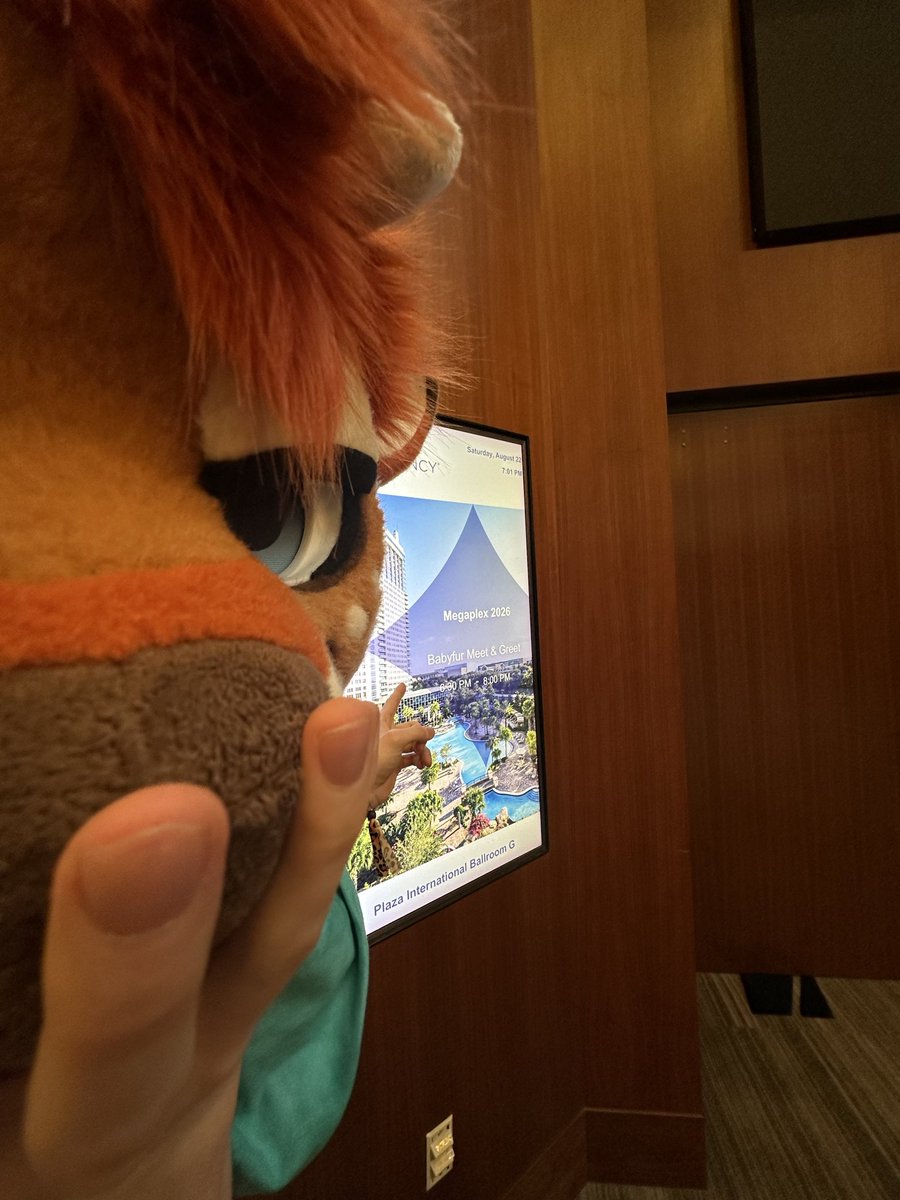thatbearbawston tweet picture