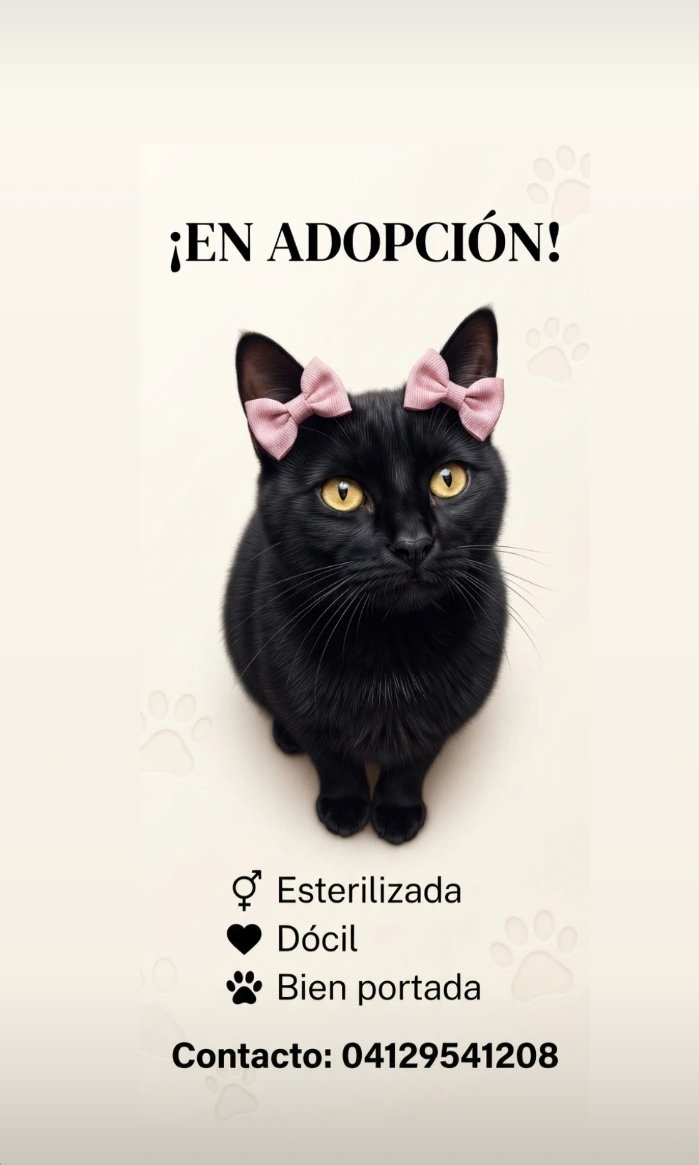 yaracalcagno's tweet photo. En adopción.
Caracas. https://t.co/pA0pZXQNiO