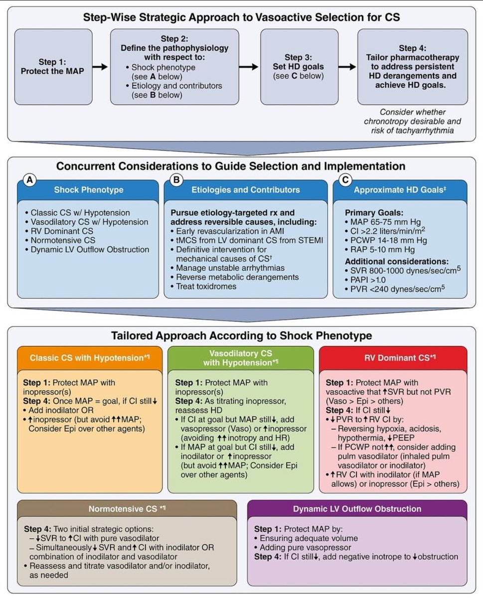 Tomas_MA_Cardio's tweet photo. Vasoactive Agent Selection Strategies in the Management of Cardiogenic Shock
#cardiotwitter #cardioed #POCUS @ANCAM_MEXICO @smexcardiologia @SIAC_cardio @AHAScience
https://t.co/cSRWici3D9 https://t.co/WGG1CyofqE