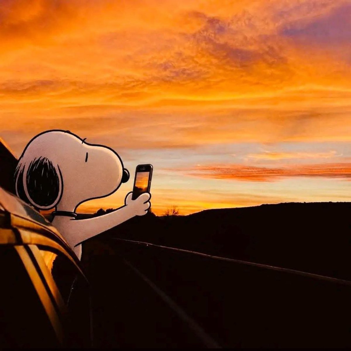 sadvibestw's tweet photo. Yo cada que veo un atardecer: https://t.co/UPdZk94iEg