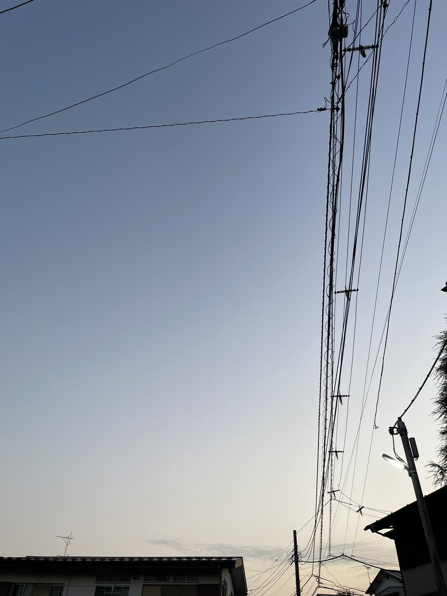 sanba555's tweet photo. 今朝は湿気がある。
でも気温はそこまで上がってないから気持ちいい。
ぎっくり腰予防のためにまた歩き始めることにした🚶🚶🚶 https://t.co/03pgFKRi7S