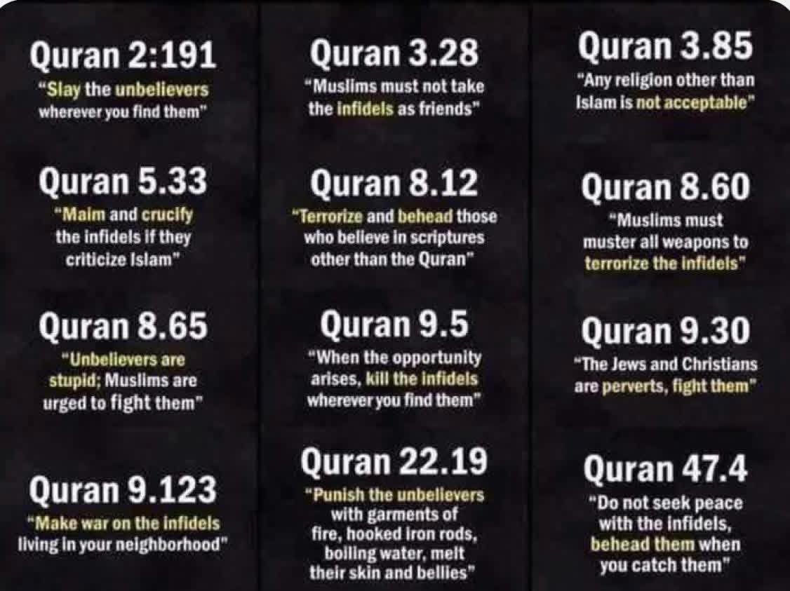 Qrowxsilver's tweet photo. @Jason2bartlett Islam/Muslims = the flood from halo (a single spore can destroy a entire species) that’s the simplest way to describe it. https://t.co/dFwsHkJtog