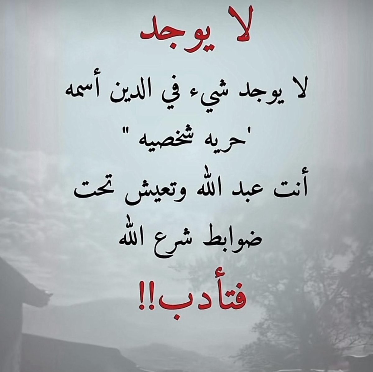 msnmona's tweet photo. https://t.co/9Z7GJBJfRj