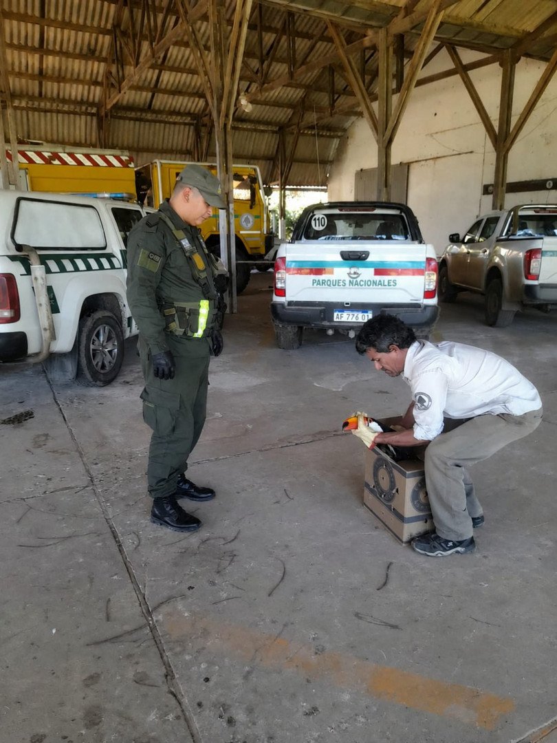 TraductorTeAma's tweet photo. CON LO QUE NOS AHORRAMOS DEJANDO DE GASTAR PLATA EN PENES DE MADERA DE LOS KUKAS| 
GENDARMERÍA PUDO RESCATAR A UN TUCÁN DESORIENTADO EN FORMOSA Y DEVOLVERLO A SU HÁBITAT NATURAL.

Le pidieron asistencia al personal del Parque Nacional “Pilcomayo"