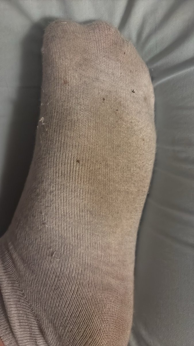 Socks4You26's tweet photo. Anyone need new clipping to add to their collection as well as socks? Both available message for more info 😉 https://t.co/jcgovbeldC
